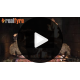 Real Fyre Charred American Oak Logs Compatible with G31 Burner