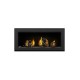 Napoleon Vector 38-Inch Direct Vent Natural Gas Fireplace