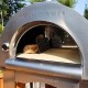 Pinnacolo Premio Wood Fired Outdoor Pizza Oven With Accessories